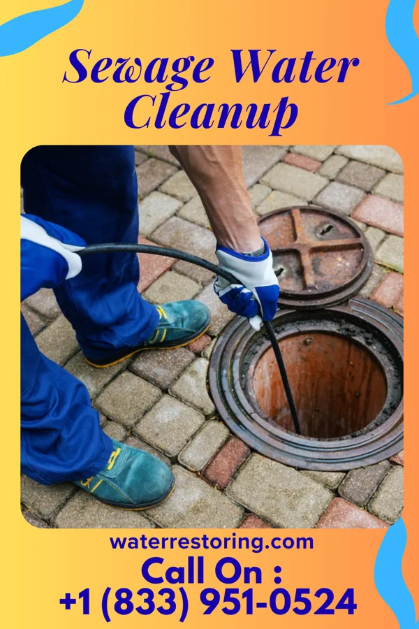 Sewage Water Cleanup in Bell Hill, WA